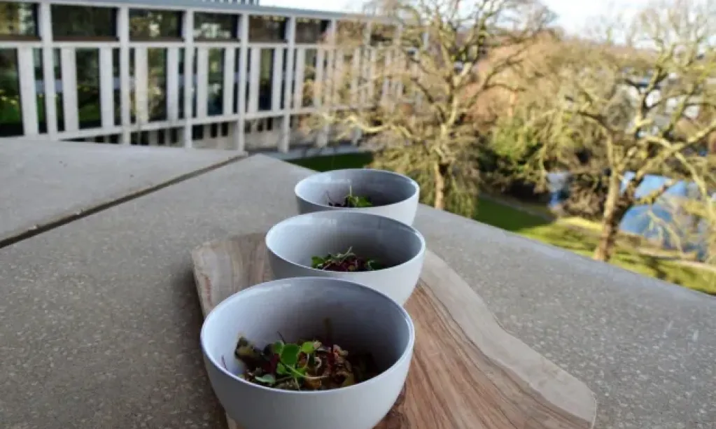 Roehampton Venues 6